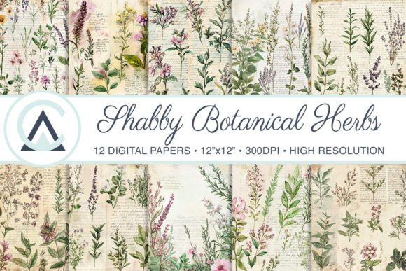 Botanical Herbs Shabby Chic Backgrounds for Designers