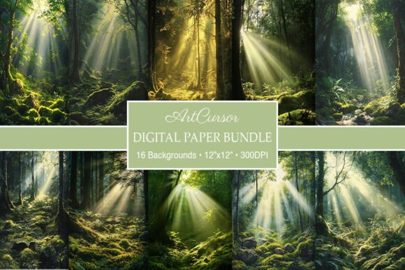 Serene Sun Rays Forest Paper Backgrounds for Creative Projects